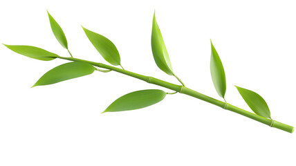 Fototapeta premium vibrant green bamboo branch with lush leaves, symbolizing growth and nature resilience. smooth texture and elongated leaves create serene and calming visual
