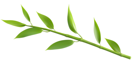 vibrant green bamboo branch with lush leaves, symbolizing growth and nature resilience. smooth texture and elongated leaves create serene and calming visual