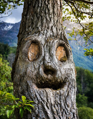 Unique carved tree with a smiling face located in a lush forest setting among mountains
