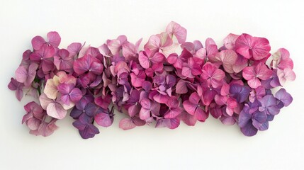 A vibrant assortment of dried hydrangea flowers showcases shades from soft pink to deep purple