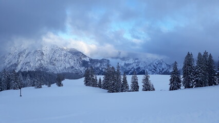 snow covered mountains