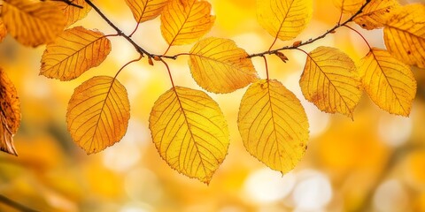 Fototapeta premium A close up vertical view of vibrant yellow autumn leaves on a tree showcases the beauty of autumn leaves in all their glory, highlighting the rich colors and intricate textures of autumn leaves.