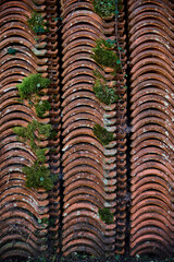 Stacked tiles in a village near Villaviciosa, Asturias, Spain

