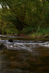 The Los Molinos del R&iacute;o Profundo trail follows a river through a magical forest of beech and chestnut trees in Villaviciosa, Asturias, Spain

