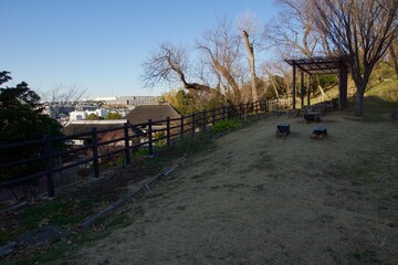 本郷ふじやま公園の風景　眺め　梅の季節
