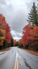 Obraz premium A picturesque autumn scene of an empty road lined with vibrant red and orange trees, showcasing the beauty of the fall foliage