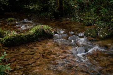 The Mills of the Deep River Route: A Magical Forest of Beeches and Chestnut Trees in Villaviciosa, Asturias, Spain