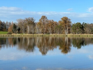Fototapeta premium Late autumn atmosphere on the Swiss Katzenseen lakes or Katzensee lakes (Katzen lakes), Regensdorf - Lenzerheide - Canton of Zurich (Zürich or Zuerich), Switzerland (Schweiz)