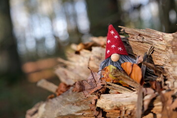 Kleiner Wichtel im Wald