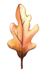 Fototapeta premium Handcrafted watercolor illustration of an orange oak leaf. Vibrant autumn tones with organic details, perfect for seasonal and nature-themed designs.