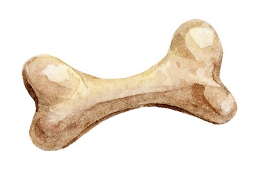 Hand-painted watercolor illustration of a beige bone with natural texture and shading. Perfect for pet-related designs, veterinary themes, pet shop advertising, and educational materials.