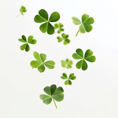 four leaf clover