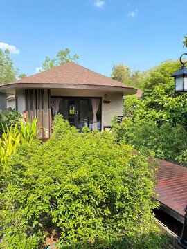 house in the garden