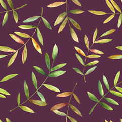 Colorful falling autumn leaves. Hand drawn watercolor illustration, seamless pattern on Italian plum background. For design, textile, paper and much more