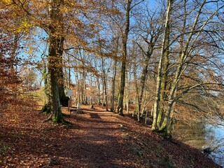 Fototapeta premium Sports and recreation trails around the Swiss Katzenseen lakes or promenade along Lake Katzensee (Katzen Lake), Regensdorf - Canton of Zurich (Zürich or Zuerich), Switzerland (Schweiz)
