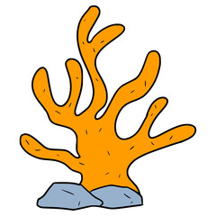 Obraz premium coral illustration hand drawn isolated vector