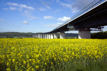 Ruhr valley motorway bridge near Essen-Kettwig, rape field in foreground