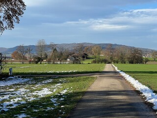 Sports and recreation trails around the Swiss Katzenseen lakes or promenade along Lake Katzensee (Katzen Lake), Regensdorf - Canton of Zurich (Z&uuml;rich or Zuerich), Switzerland (Schweiz)