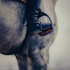 The leg of a rider, sitting on a grey horse, in the saddle, wearing leather boots and stirrups, on...