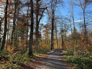 Obraz premium Sports and recreation trails around the Swiss Katzenseen lakes or promenade along Lake Katzensee (Katzen Lake), Regensdorf - Canton of Zurich (Zürich or Zuerich), Switzerland (Schweiz)