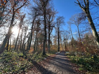 Obraz premium Sports and recreation trails around the Swiss Katzenseen lakes or promenade along Lake Katzensee (Katzen Lake), Regensdorf - Canton of Zurich (Zürich or Zuerich), Switzerland (Schweiz)