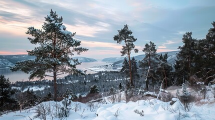 photograph of Northern winter landscape with trees and fjords image wide angle lens