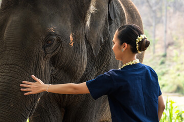 Woman in indigo clothing touching friendly elephant in sanctuary