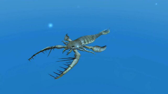 Sea scorpion of Paleozoic era swimming in water.