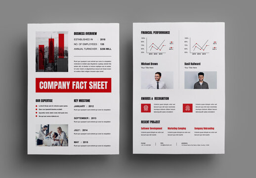 Business Company Fact Sheet Template