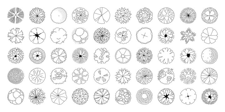 Collection of tree illustrations from above. Circular Outline Style symbols for maps, architectural designs, decorations. Full Vector Set