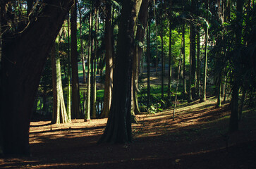 Pedra Grande Horto em São Paulo - Zona Norte