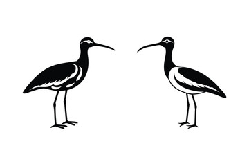 Obraz premium Curlew Silhouette Vector Illustration Art for Wildlife and Nature Designs