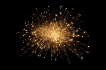Fototapeta premium Colorful fireworks on black background