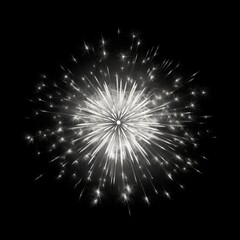 Fototapeta premium Colorful fireworks on black background