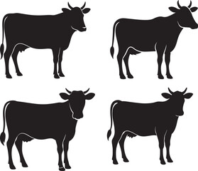 Fototapeta premium Set of cows. Black silhouette cow isolated on white. Hand drawn vector illustration.