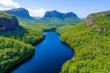 Obraz premium A dramatic photo of the Tasmanian wilderness, featuring dense forests, winding rivers, and misty mountain peaks
