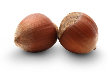 Two hazelnuts