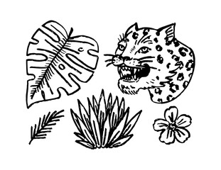 Obraz premium Japanese tigers Lynx with tropical leaves. Wild animal with plants. Tattoo illustration. Banner or poster for advertising or web