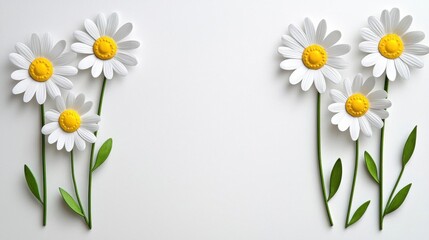 Fototapeta premium A photostock of a bright daisy chain with white petals and yellow centers, arranged in a circular pattern on a white background. High Quality