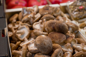 Fresh mushrooms for sale displayed in wooden crates at local farmers market