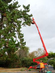 A tree felling crane and tree care handler with a telescopic boom used for tree or branch removal.