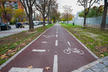 A bike lane view in autumn isolated