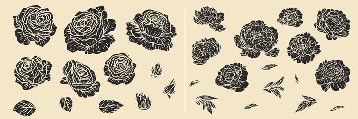 Botanical hand draw set of rose and peony flower elements in flat monochrome style. Collection of outline silhouettes buds and leaves. Vector illustration.
