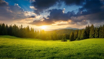 Naklejka premium green grass and forest with beautiful clouds at sunset