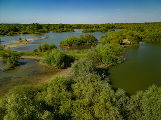 Obraz premium Aerial view with a delta, an ecosystem full of lakes and green willows. Amazing wild landscape seen from above in summer on a sunny day
