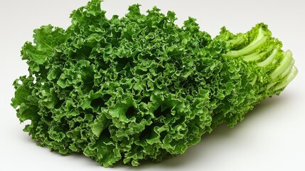Fresh green kale bunch on white background