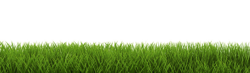 Obraz premium Green Grass Frame Isolated And White Background
