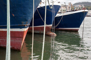 Close-up of moored fishing boats with blue hulls, red accents, and thick ropes in a calm harbor, showcasing maritime industry and coastal life.