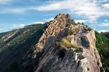 A scenic view of rugged rocky cliffs with lush greenery and a squirrel perched on a rock under a bright blue sky, showcasing natural beauty and wildlife.