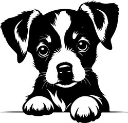 cute pet dog vector art  illustration
